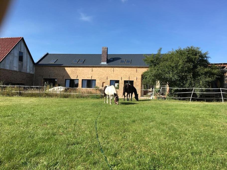 Ferienwohnung Zossen Gaestehaus Exterior foto